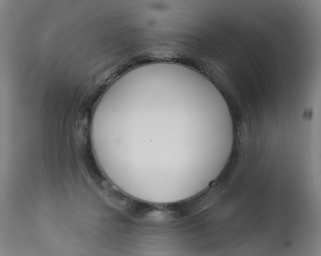 X0000112460364200909071115
