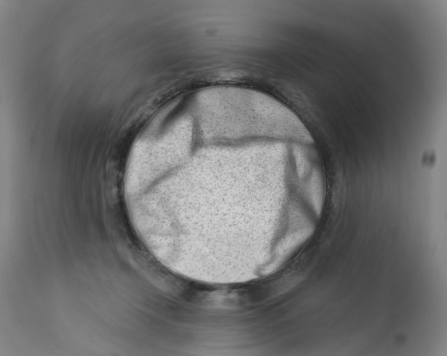 X0000112460366200909071115