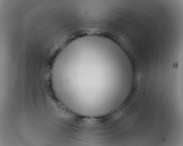 X0000112460367200909071115