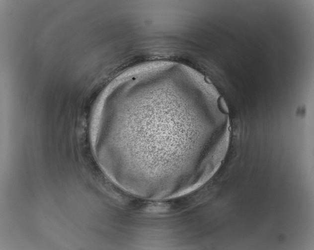 X0000112460369200909071115
