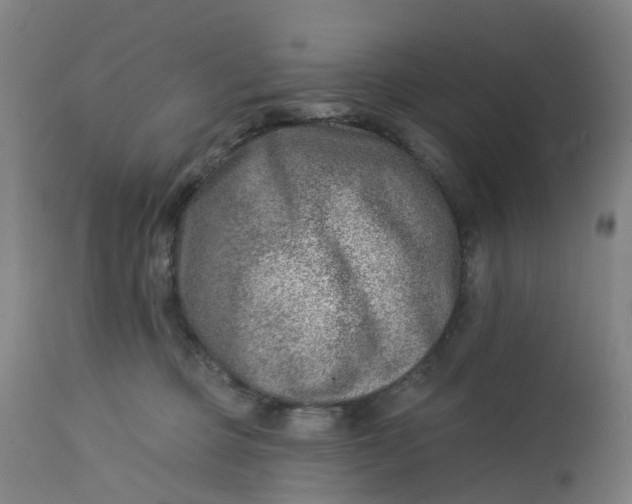 X0000112460373200909071115