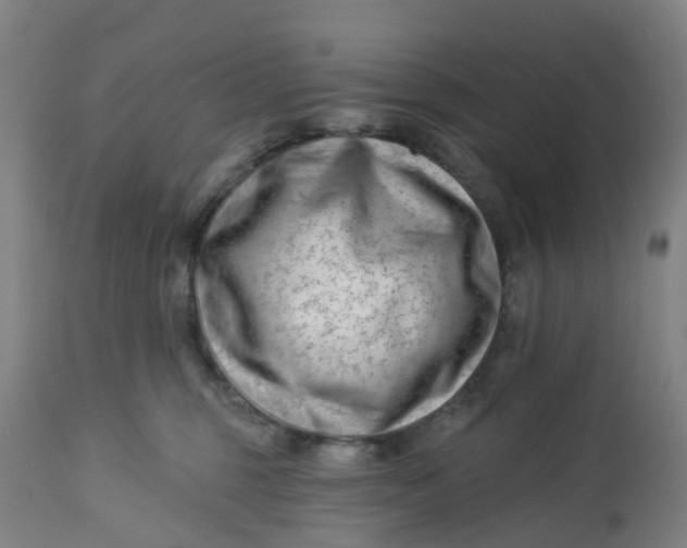 X0000112460375200909071115