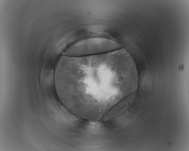 X0000112460376200909071115