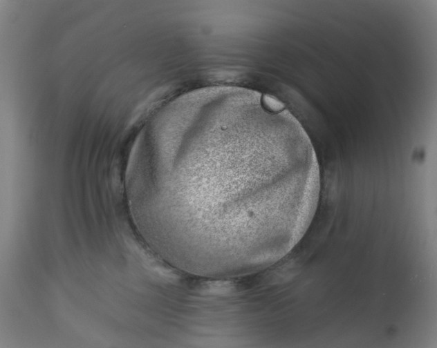 X0000112460377200909071115