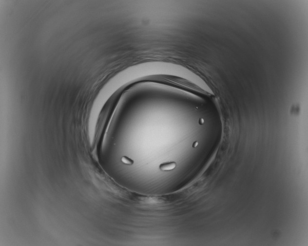 X0000112460380200909071115