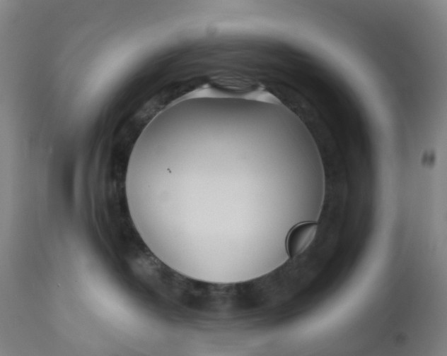 X0000112460382200909071115