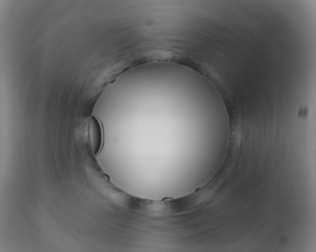 X0000112460383200909071115