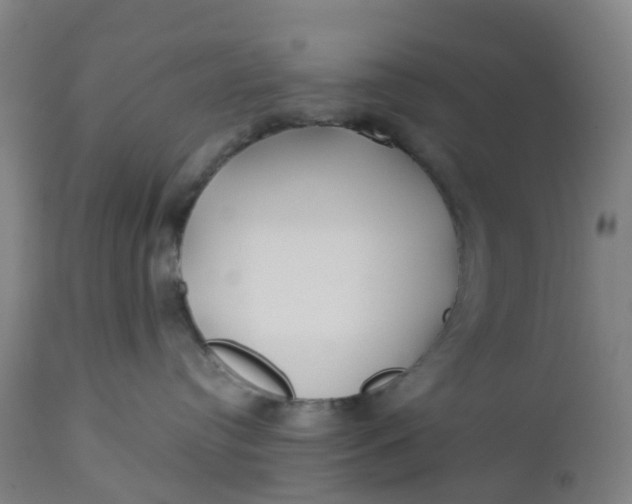 X0000112460384200909071115
