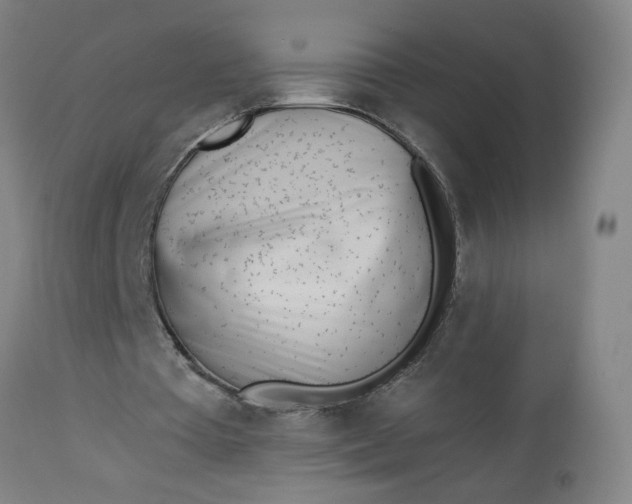 X0000112460385200909071115