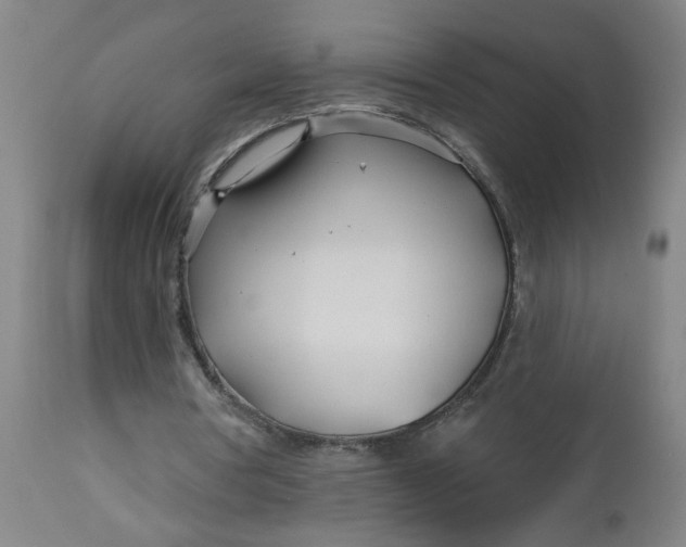 X0000112460386200909071115