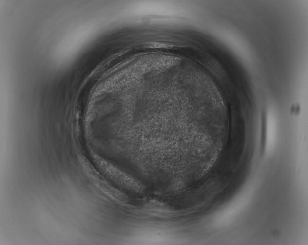 X0000112460387200909071115
