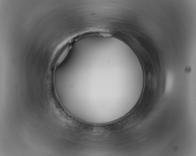 X0000112460388200909071115