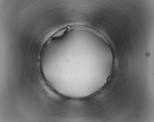 X0000112460389200909071115