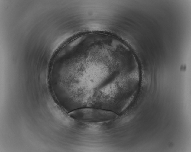 X0000112460391200909071115