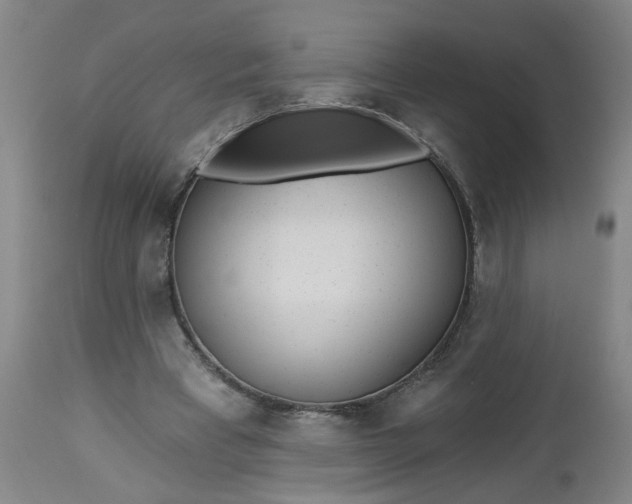 X0000112460393200909071115