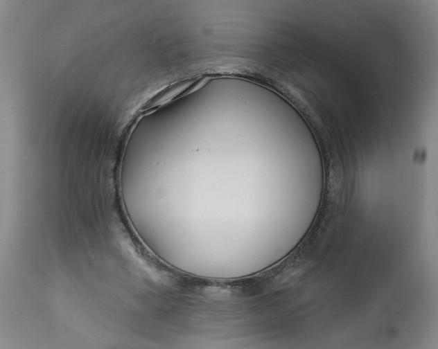X0000112460394200909071115
