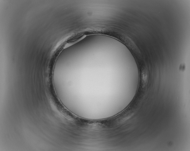 X0000112460396200909071115