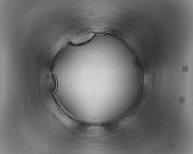 X0000112460397200909071115
