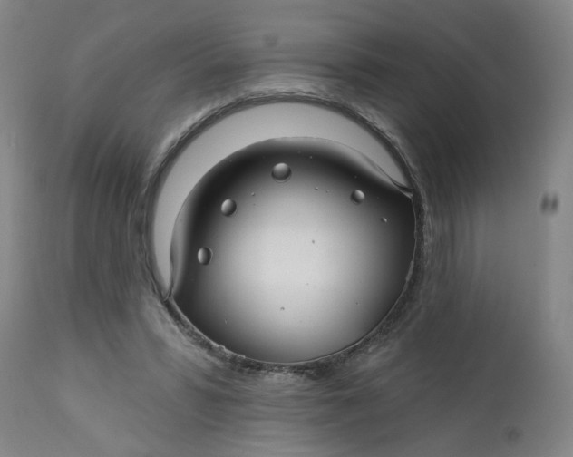 X0000112460399200909071115