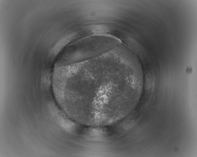 X0000112460405200909071115