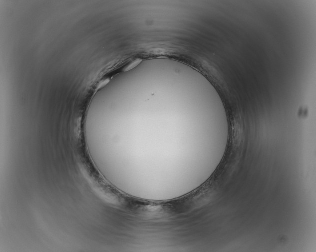 X0000112460406200909071115