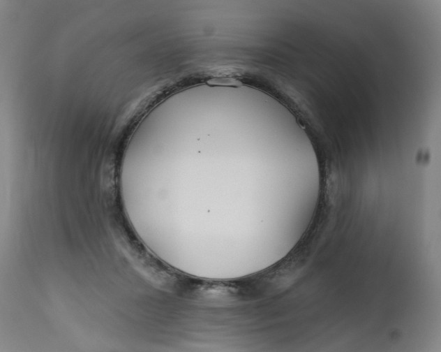 X0000112460407200909071115