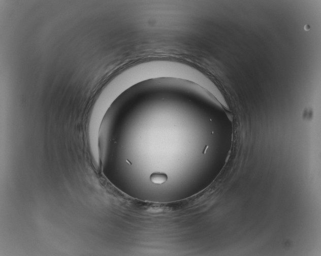 X0000112460415200909071114