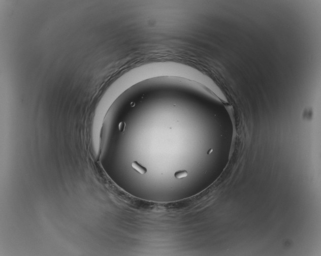 X0000112460416200909071114