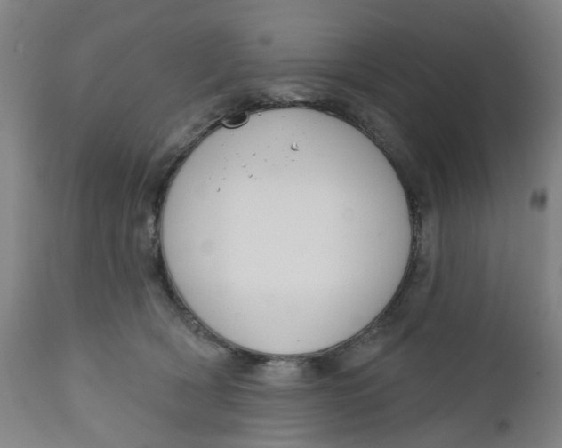 X0000112460418200909071114