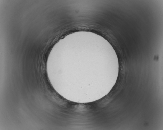 X0000112460419200909071114