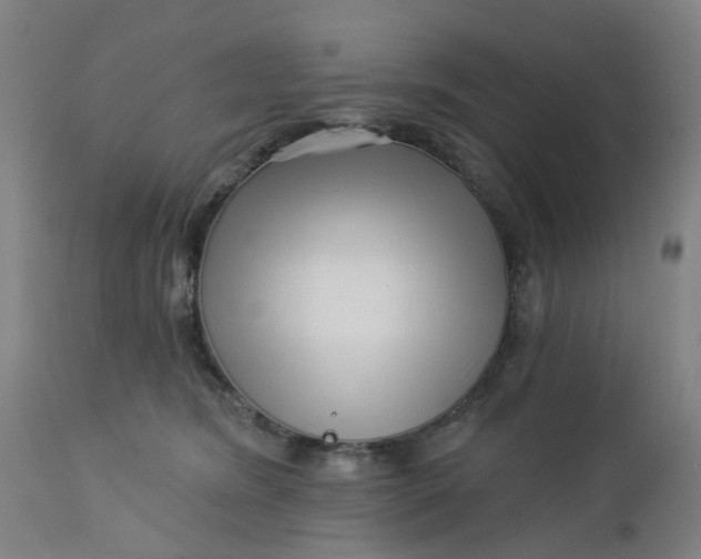 X0000112460420200909071114