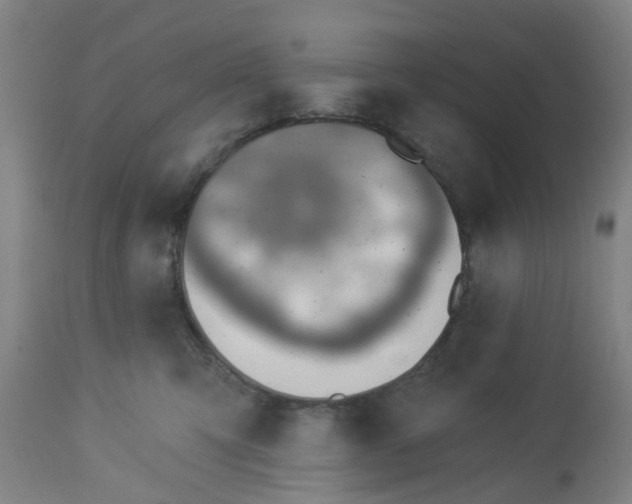 X0000112460423200909071114