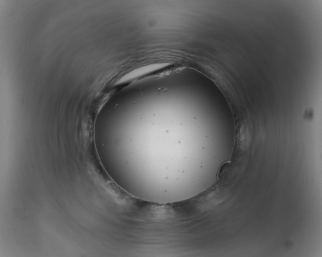 X0000112460424200909071114
