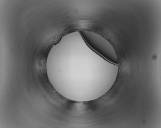 X0000112460425200909071114