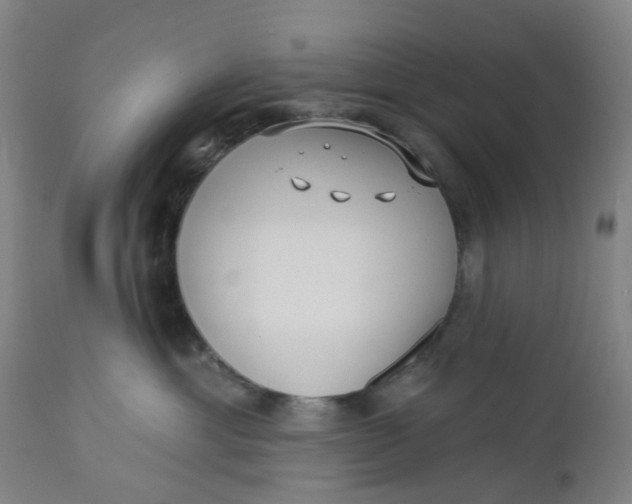 X0000112460429200909071114