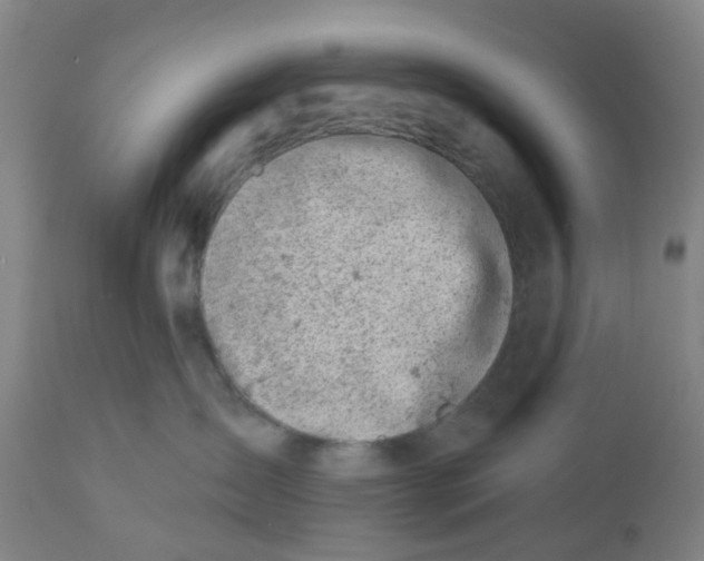X0000112460431200909071114