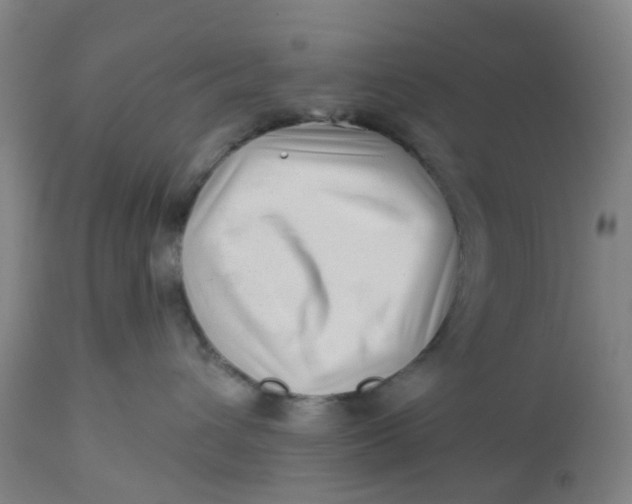 X0000112460432200909071114