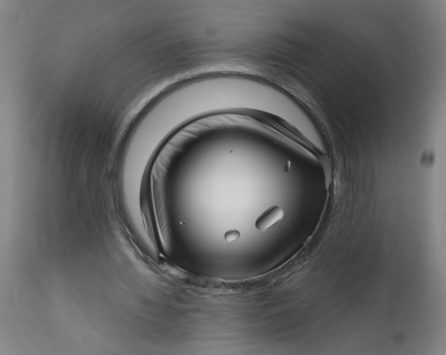 X0000112460436200909071114