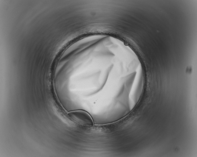 X0000112460439200909071114