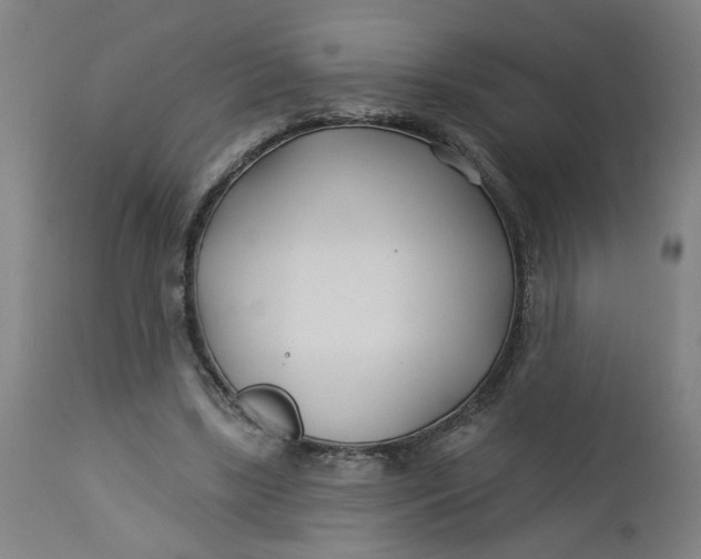 X0000112460443200909071114