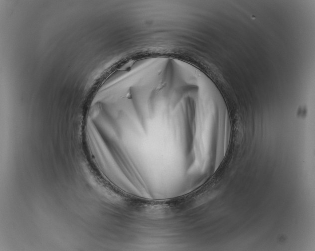 X0000112460446200909071114