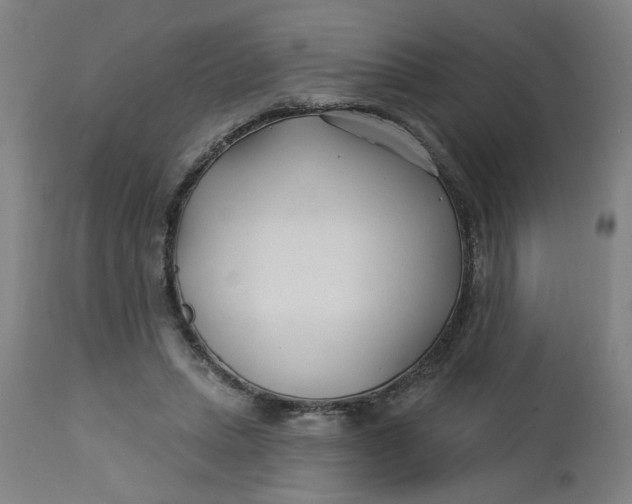 X0000112460447200909071114