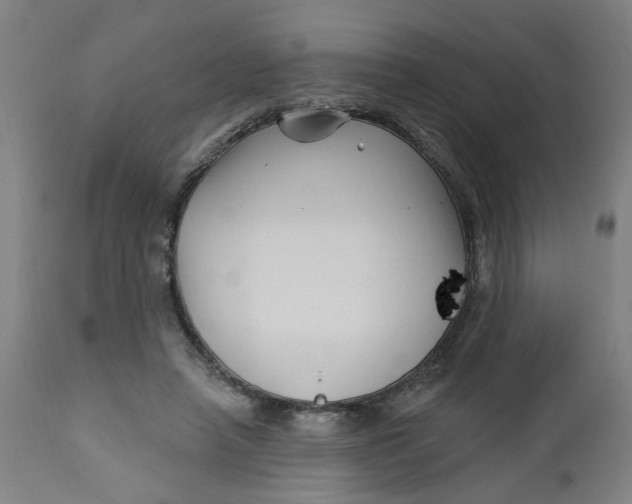 X0000112460450200909071114