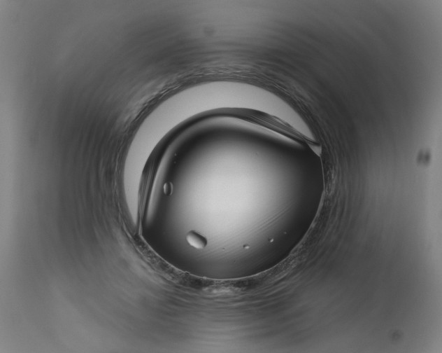X0000112460452200909071114