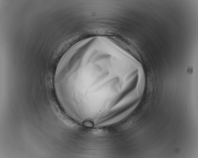 X0000112460453200909071114