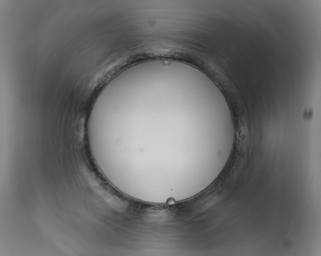 X0000112460454200909071114