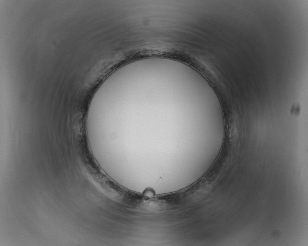 X0000112460455200909071114