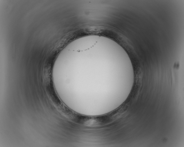 X0000112460460200909071114