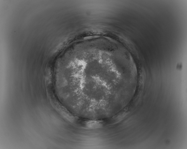 X0000112460465200909071114