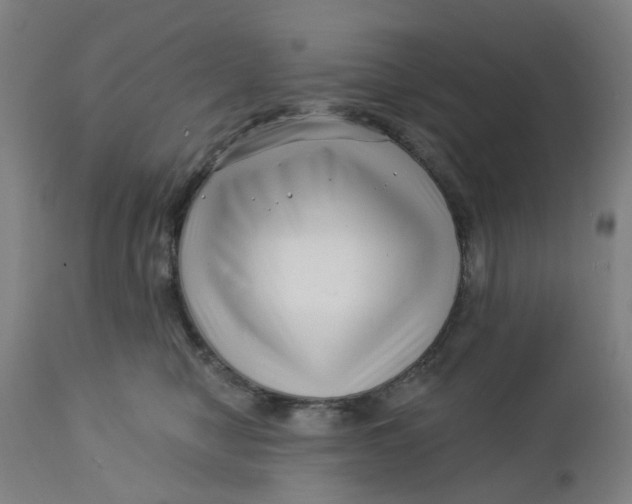 X0000112460470200909071114